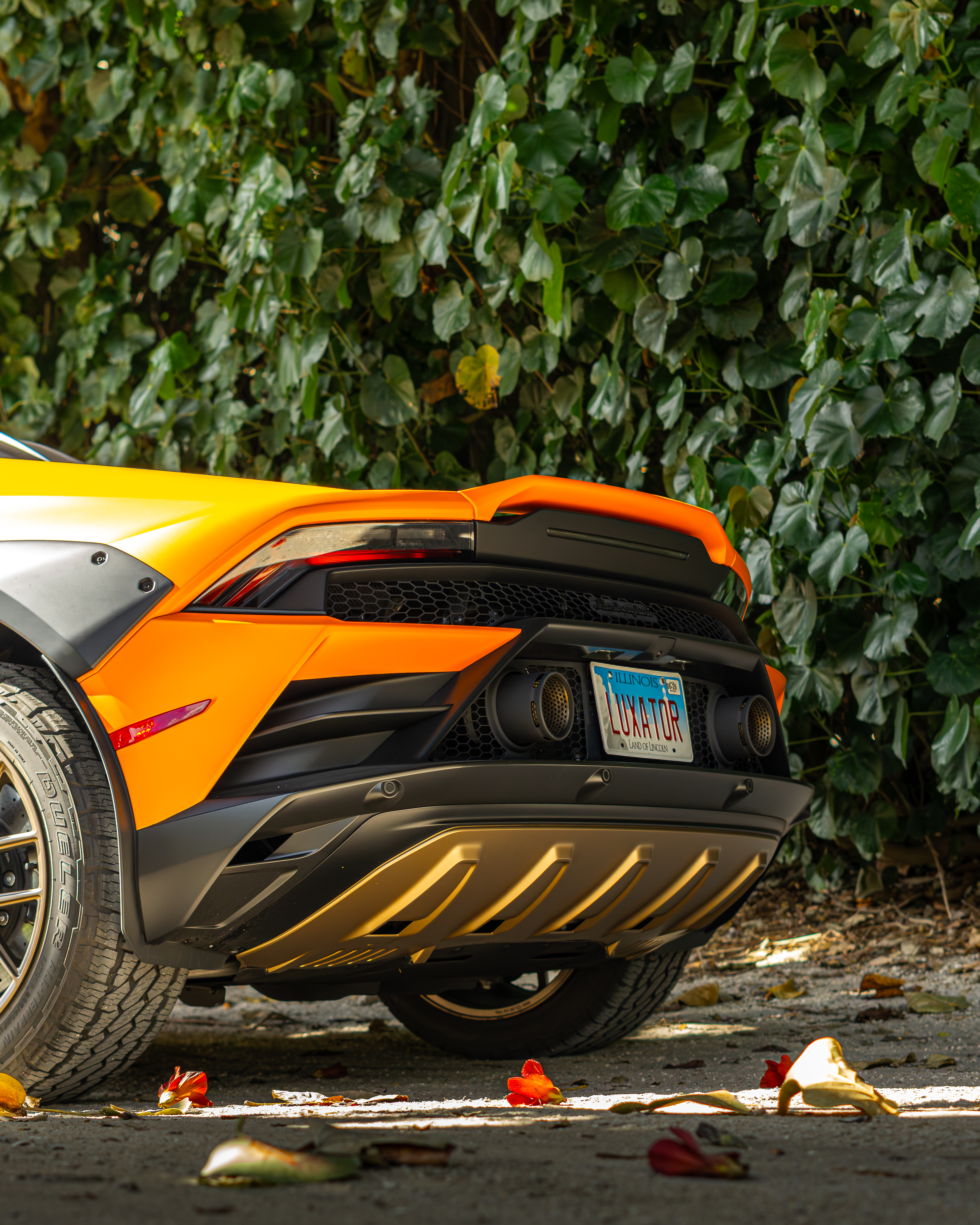 Lamborghini Sterrato Rear