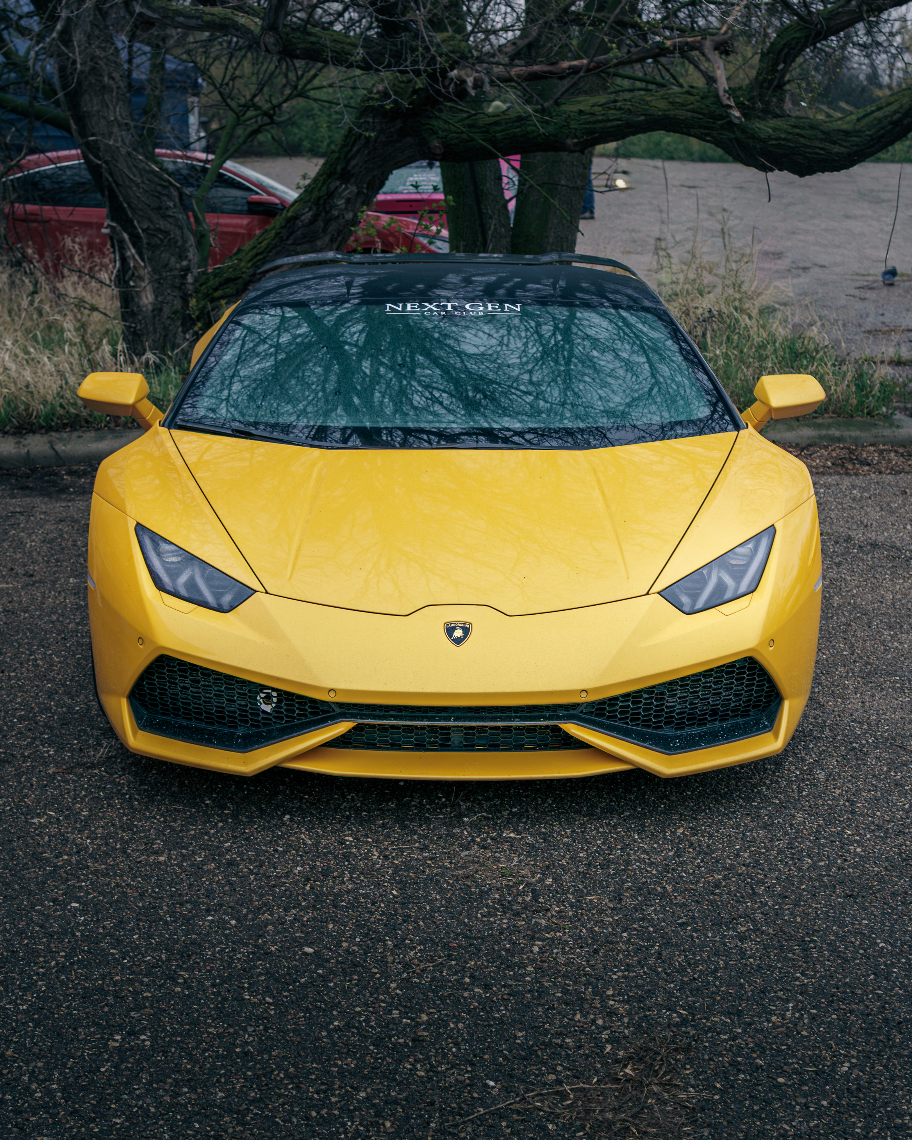 Lambo