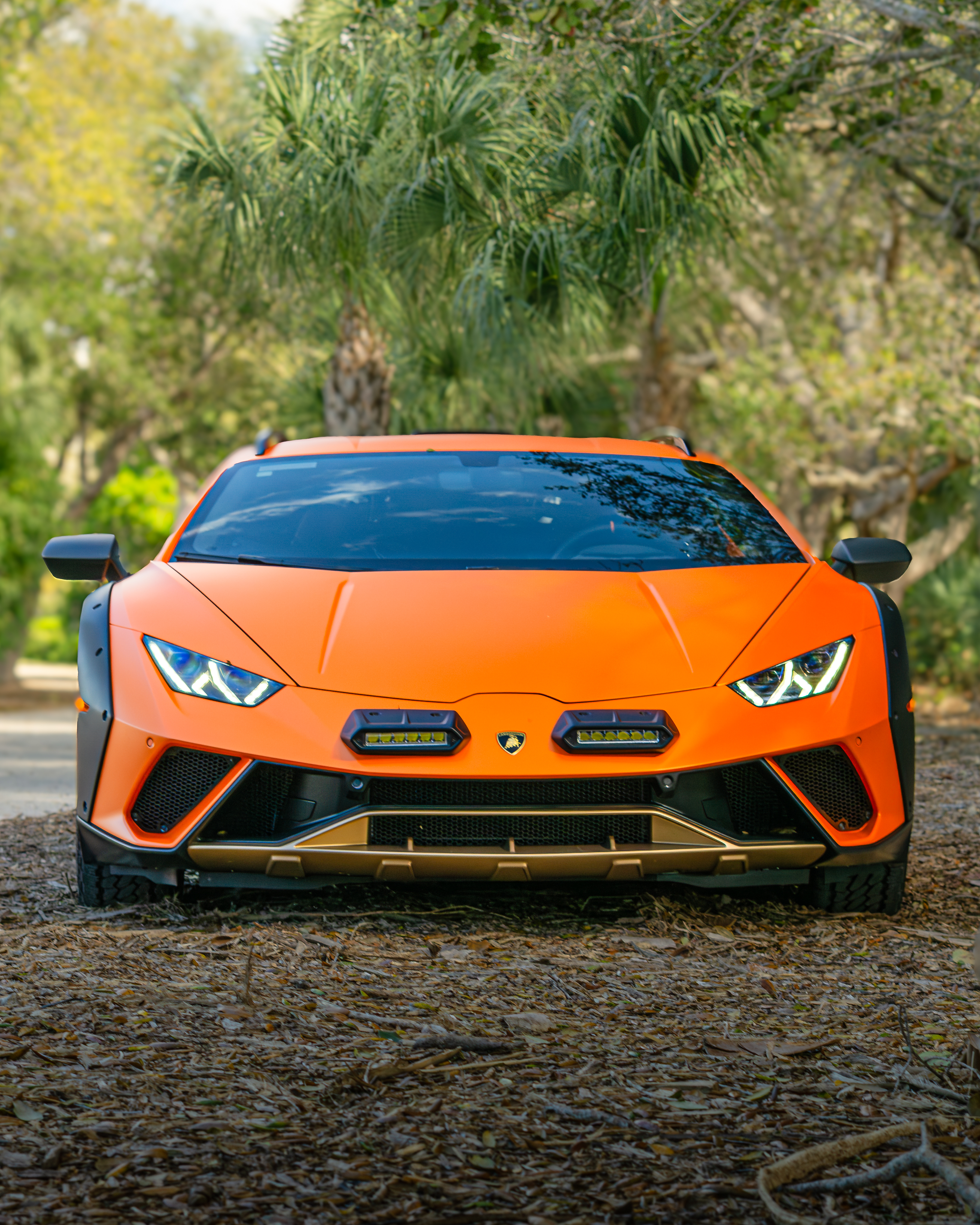Lamborghini Sterrato Front